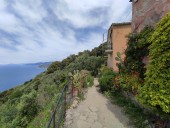 Sentiero tra fiori e mare